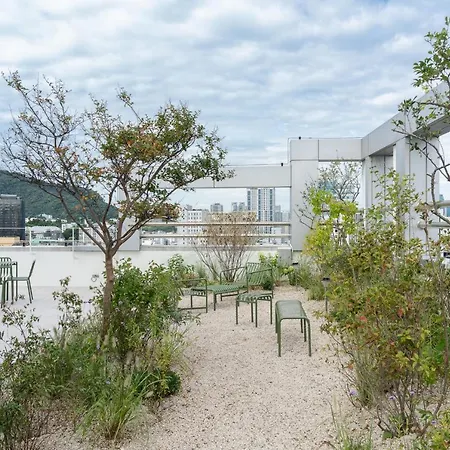Mangrove Dongdaemun