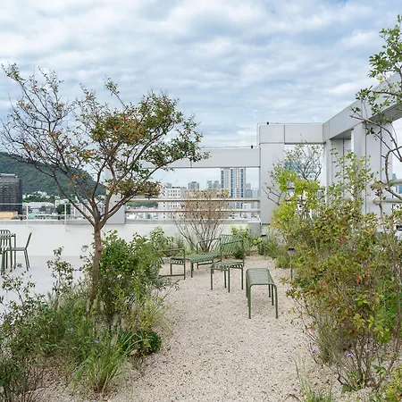 Mangrove Dongdaemun